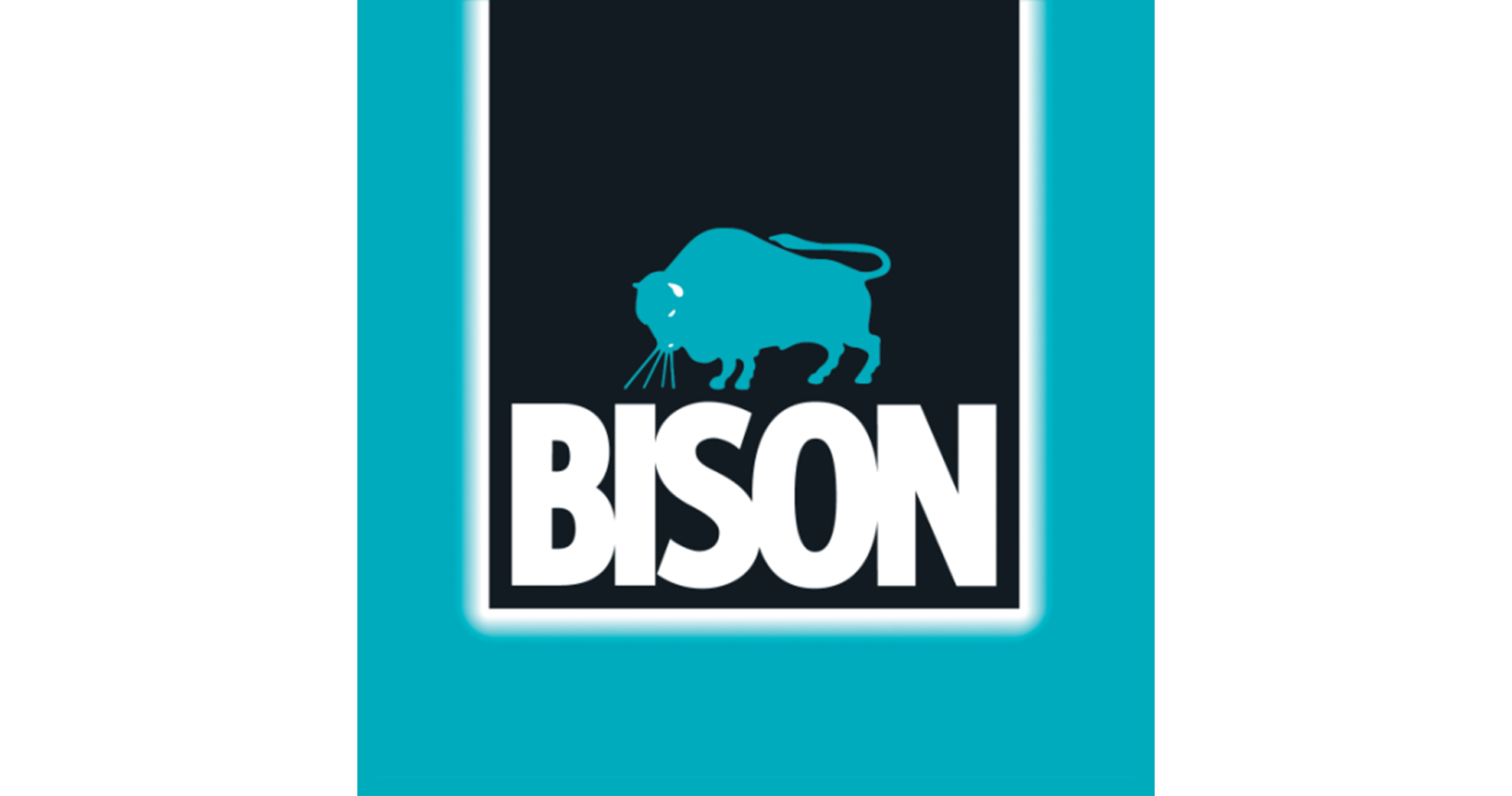 Bison